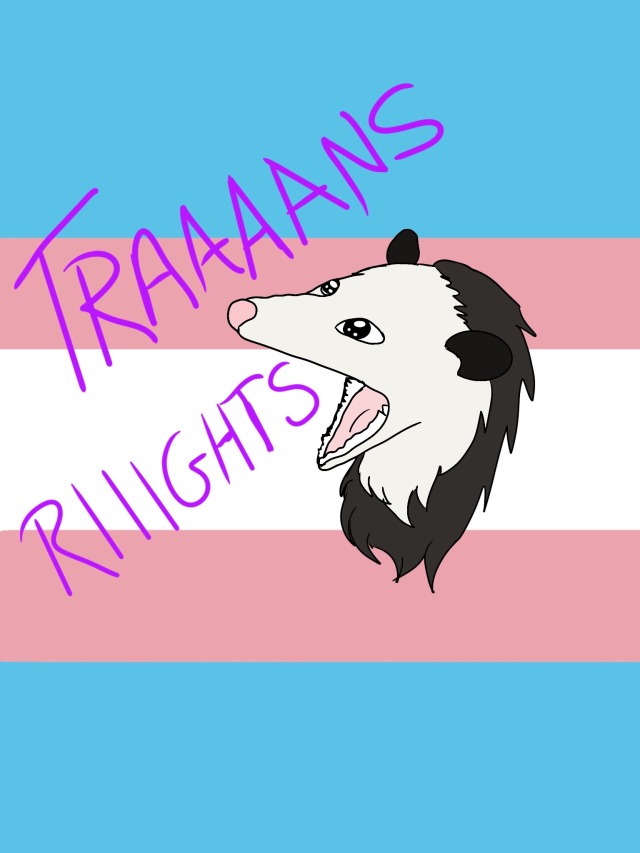 Traaaaaans riiiiights