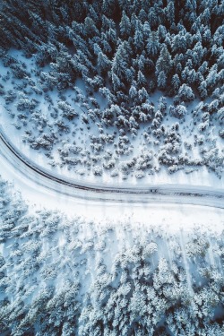 alecsgrg:  Cold morning | ( by Bryan Daugherty ) 