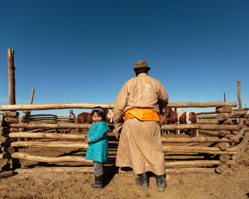 Living with a family of nomads in Mongolia. Delgr Tuya and her...