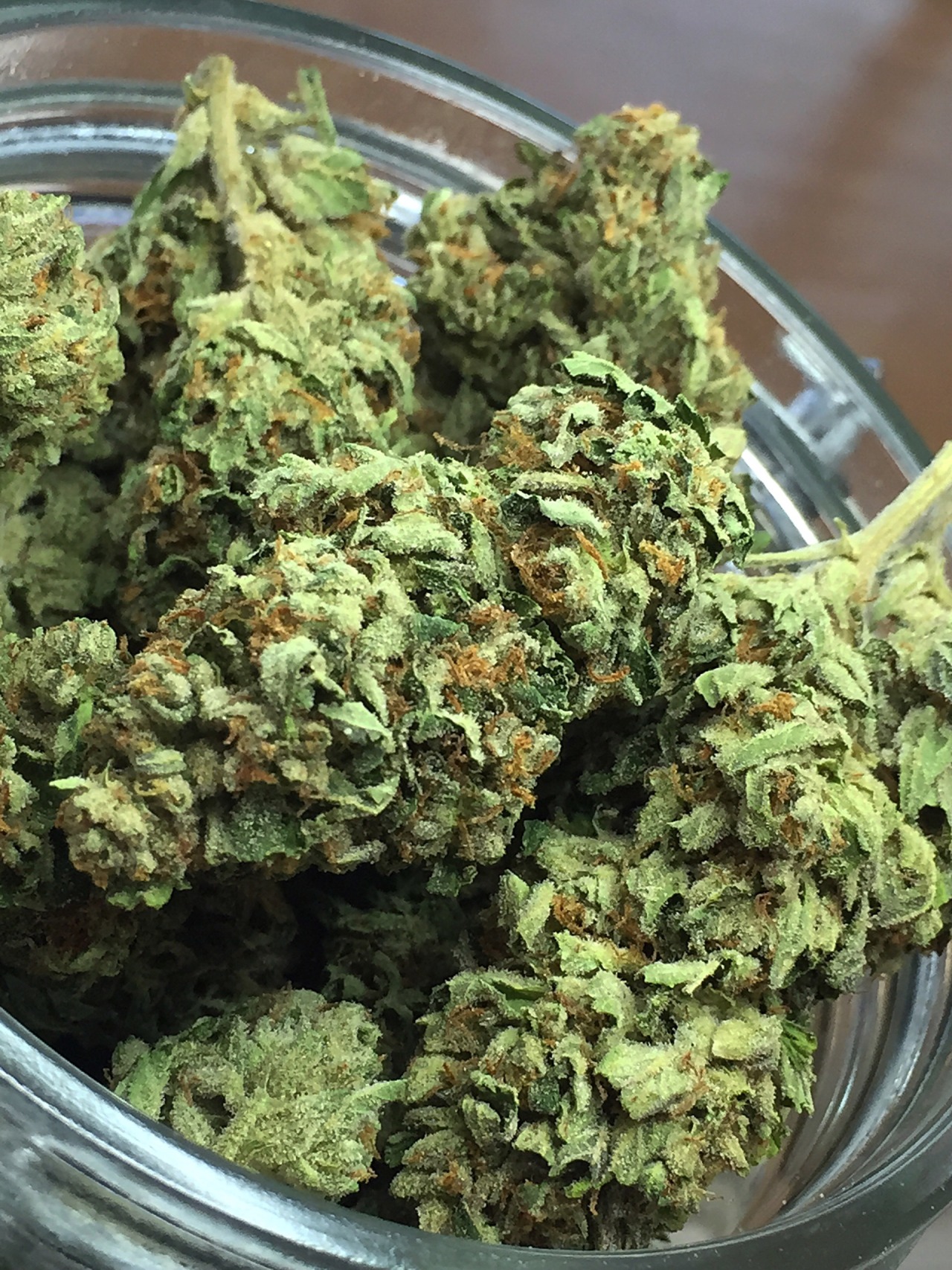 thebudtendersociety:  Alien OG from @Phoenix Rising farms available at @greenvalleywellness