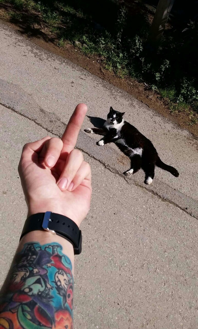marsguzeli:  ♅