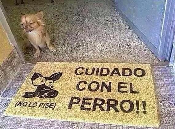 liandola:  Cuidado con el perro!!