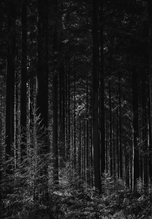 ● Photography by: Sleep Music● Found at: Unsplash.com● Original photo: here