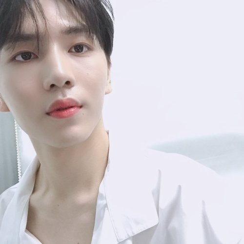 kinodata: 190811 ☾ twitter update (trans) thanks to our universe, it seems the summer of 2019 i