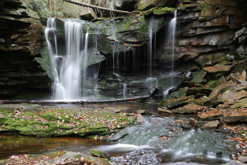 vandaliatraveler:Blackwater Falls State Park is named for a picturesque cataract on the Blackwa