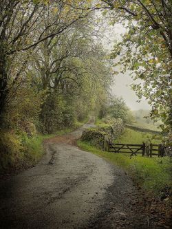 bonitavista:The Lake District, England photo via karen