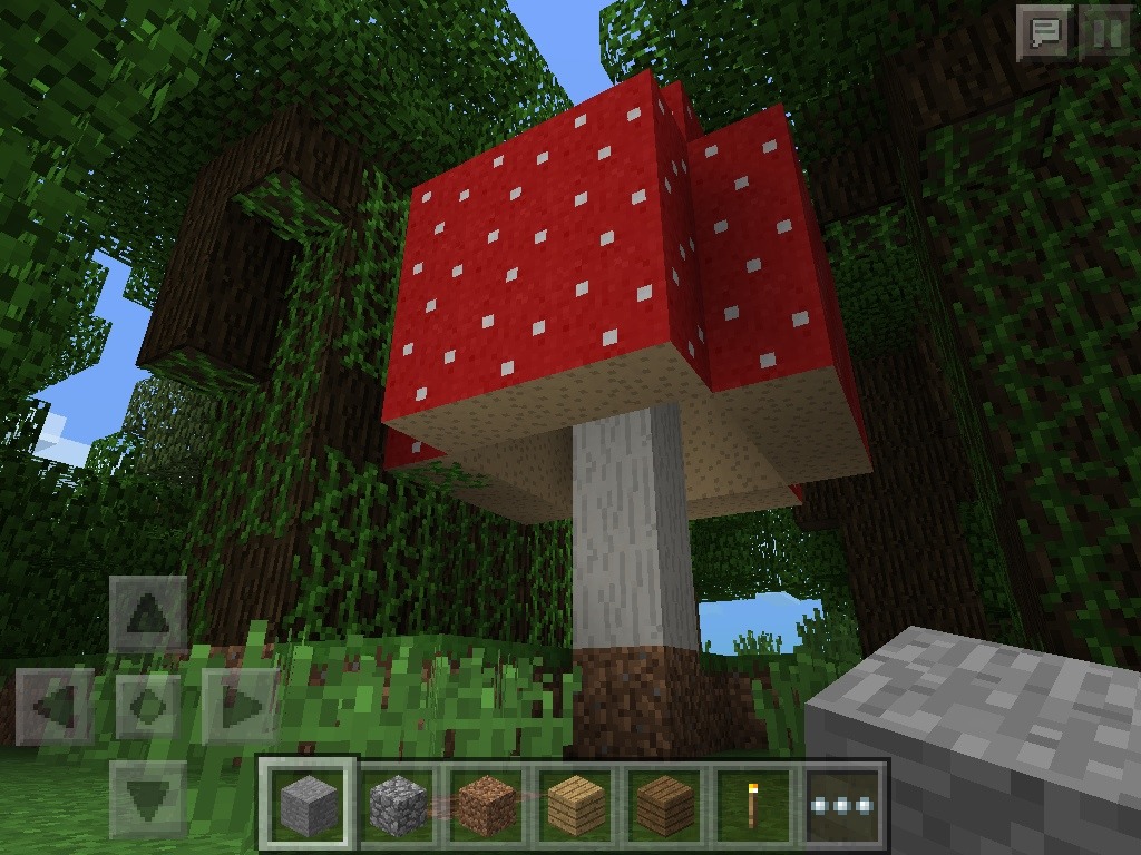 Why is this mushroom so big&hellip; I just don&rsquo;t understand.   Like