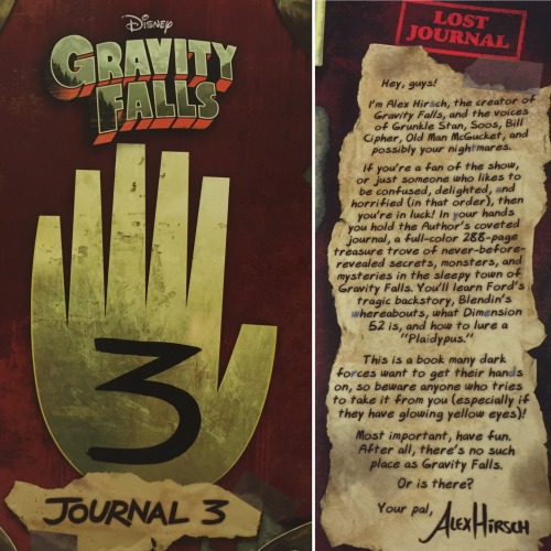 WHAT DOES IT MEAN?!#GravityFalls #Journal3 is finally here!