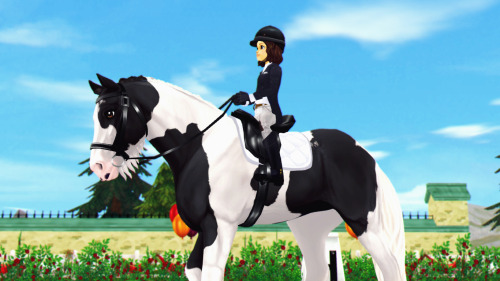 star stable