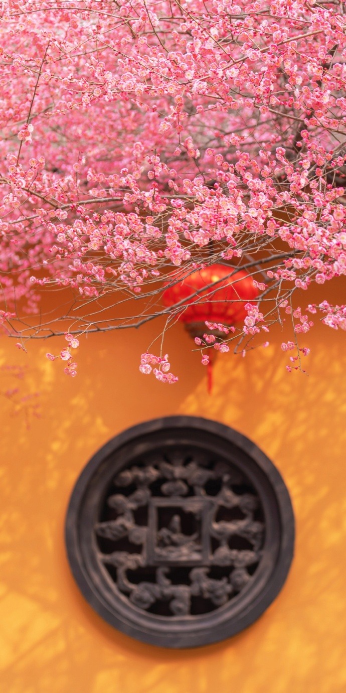 Spring Is Not Far, Tiefosi, Huzhou, Zhejiang Province In China (cr  猪甜菜的旅行手记)