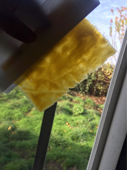 itsburtnii: OG Kush✨