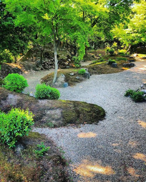 立本寺庭園“龍華苑” [ 京都市上京区 ] Ryuhonji Temple Garden &ldquo;Ryuge-en&rdquo;, Kyoto の写真・記事を更新しました。 ーー京都・西陣に建つ