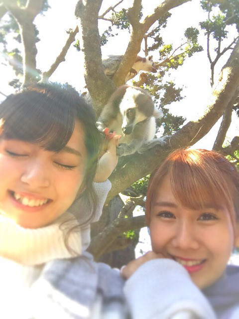 アニマル♡｜矢島舞美オフィシャルブログ Powered by Ameba