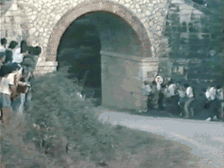 重箱の蓋の裏