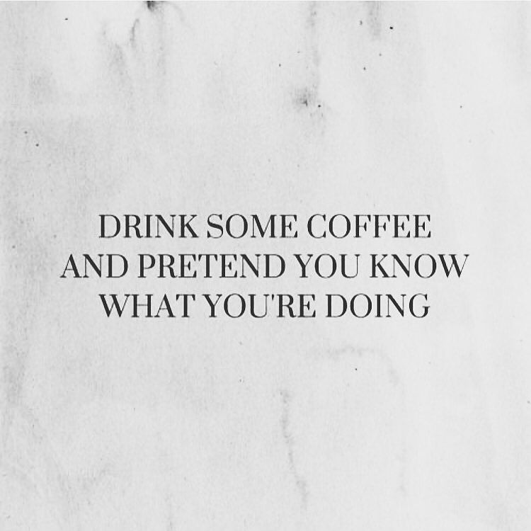 artificial-artifact:  littlebunni18:  🐰   morning, tumblr.