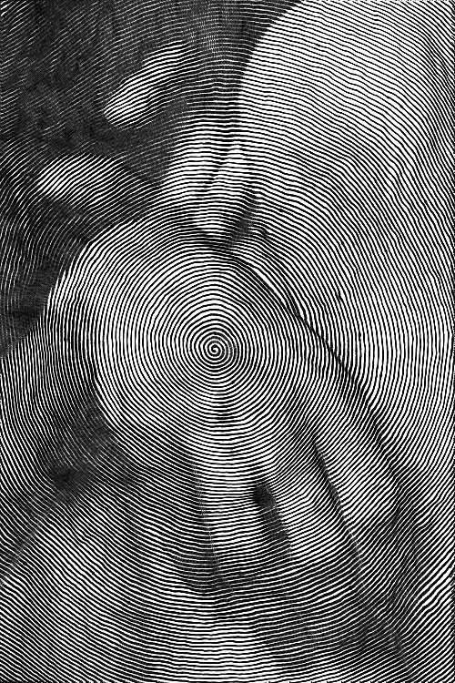 Porn photo thenervetoexist: Single stroke by Paolo Čerić