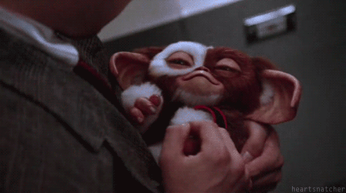 justsomemoviepictures:  Gremlins (1984) 