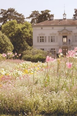 ma-demoiselle-cherie:  Versailles, le petit Trianon 