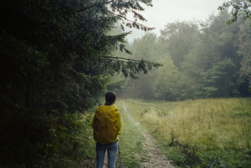 zigpitz:  you’re on your own by oh no, not again on Flickr. 