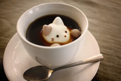 tokyofinds:  Every month in Japan, is apparently paw day! So celebrate, the paw marshmallow company that makes the cutest kitty and cat paw marshmallows is having a sale!! Oh god, this is so cute.Japan! Why do you have such cute things??? 