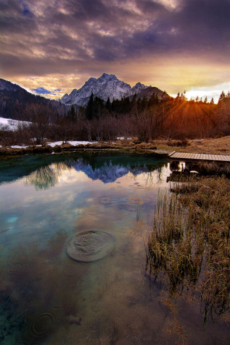 the-provincial-paladin: 