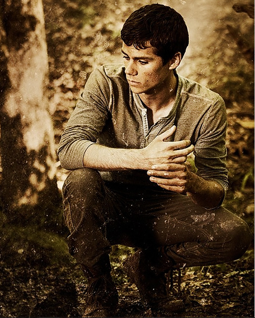 Sterek Trash