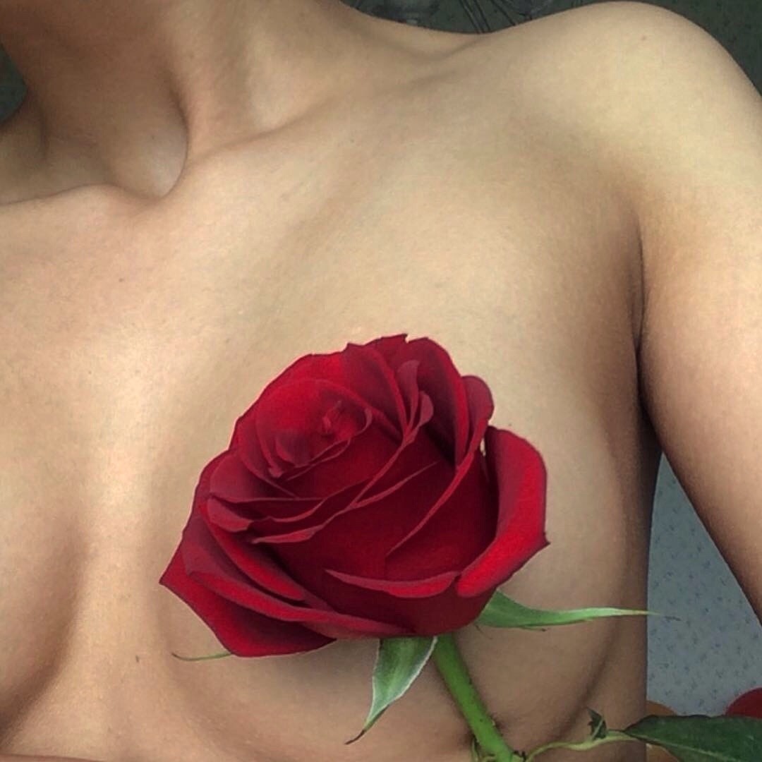 cardigran: 