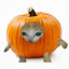 ohnogourds