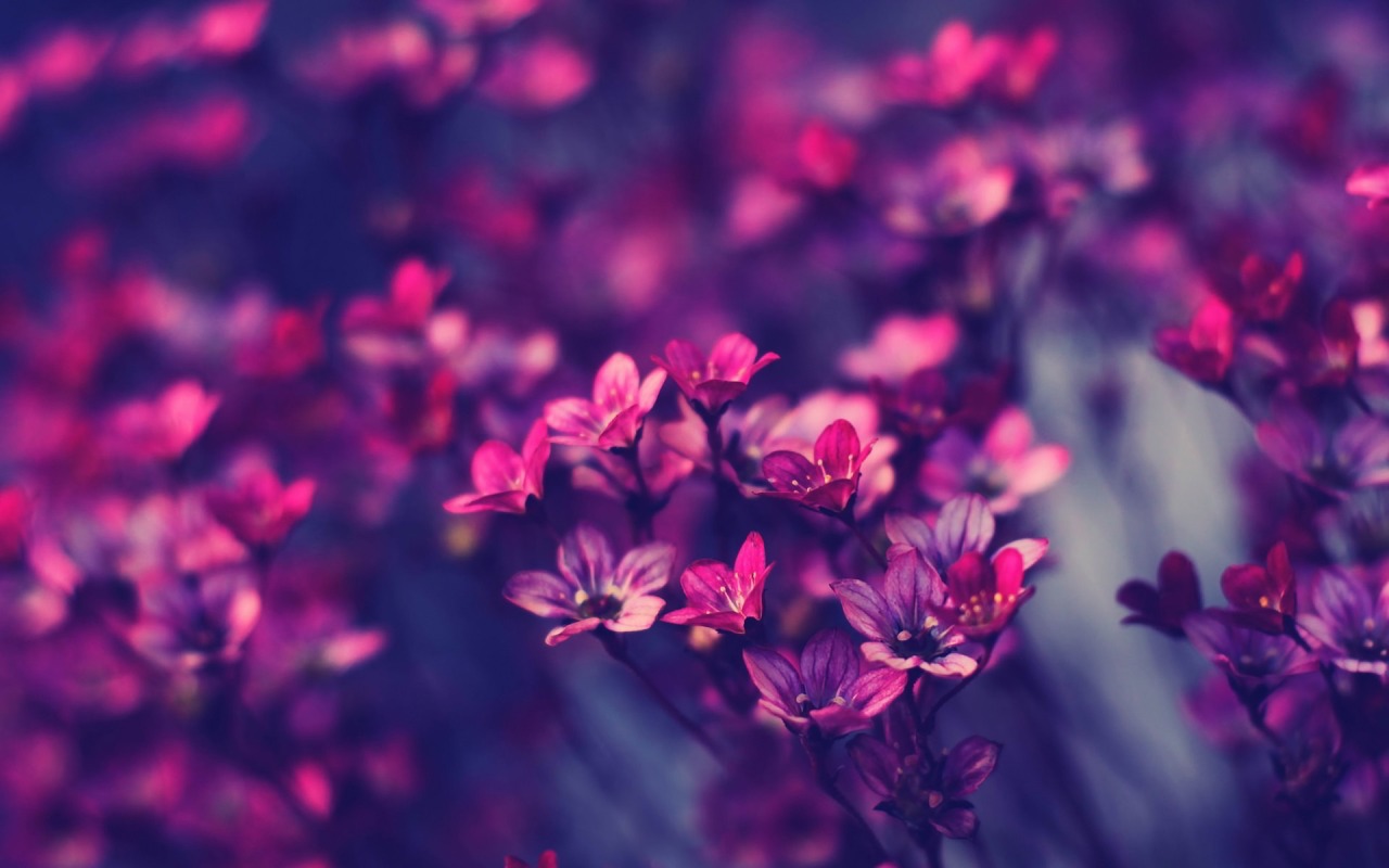 mexicansilverstore:  purple color study