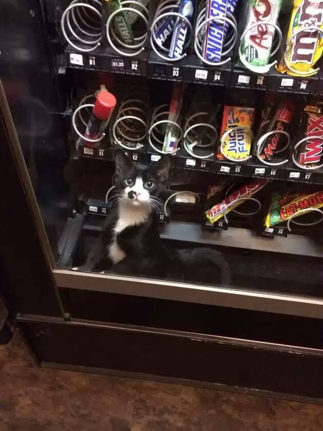 valenyan:  quiero 5