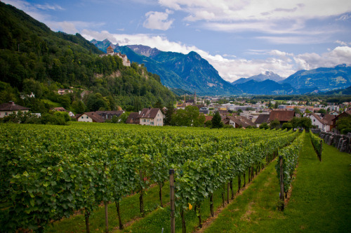 allthingseurope:   	Vaduz, Liechtenstein (by indiepepe)