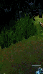 leagueofvictory:  Legendary Rengar God Ryan Choi (Check out 100+ league gifs at Leagueofvictory!)