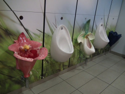 tncnv:  Posh urinals by Mach_One. on Flickr. 