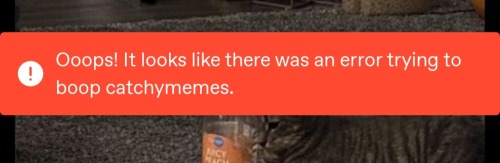 U Know Ur Booping Crimes Are Impressive When Even Tumblr Is Telling U To Stop
