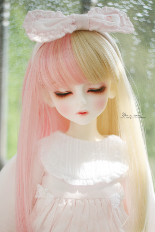 Luts incubus bory dreaming’ Wendy Cinnamon ’owner. shouette