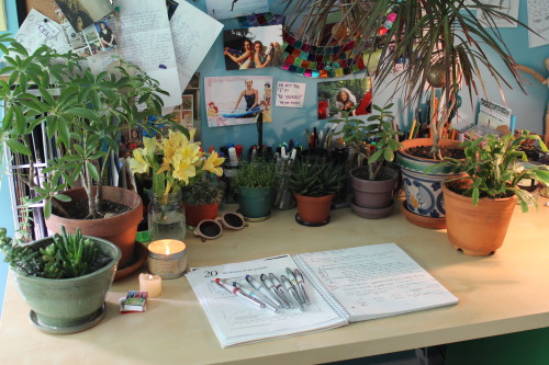 carbon-dio-xide:today I stole all my family’s plants and used them to make a desk jungle. then I too