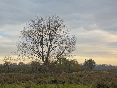 Autumn in bourgoyen nature reserve, Ghent, Belgium