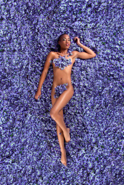Magnolias-And-Tea:  Lordnikonx:  (Via 14 Women Pose Naked To Redefine ‘American