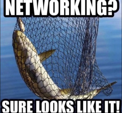 Networking? [fish image] Sure looks like it!