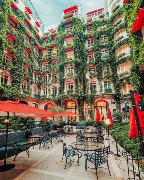 Hotel Plaza Athenee, Paris by wonguy974