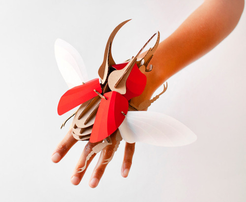 itscolossal: DIY Paper Beetle Sculpture Kits by Assembli