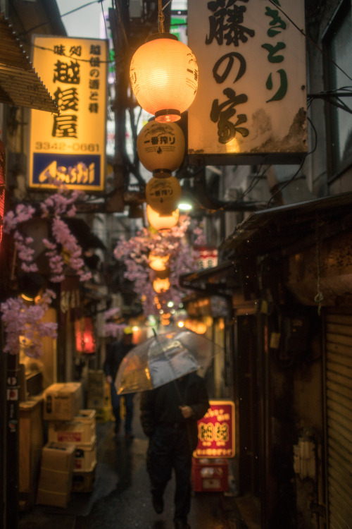 rainy days in tokyo - march 2019