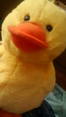 purifiedprincess:  Hihi ^•^ sooooooooo~ I saw your thing about stuffies and I thought that since I got my 66th one a few days ago I should probably start sharing some *0*  Let’s go left to right top to bottom~  Name: Duckie Wuckie  Duckie Wuckie lives