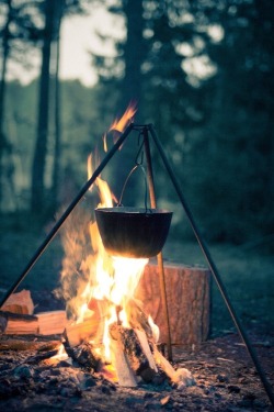 angelonfire77:  wolftramp:  Vintage Blog  Hells yeah!!! Campfire cooking