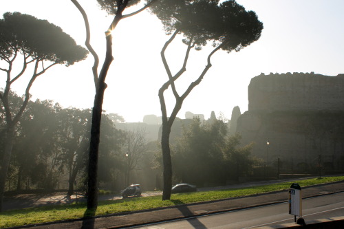 echiromani:The ruins of the Baths of Caracalla on a hazy Roman morning. The baths were constructed b