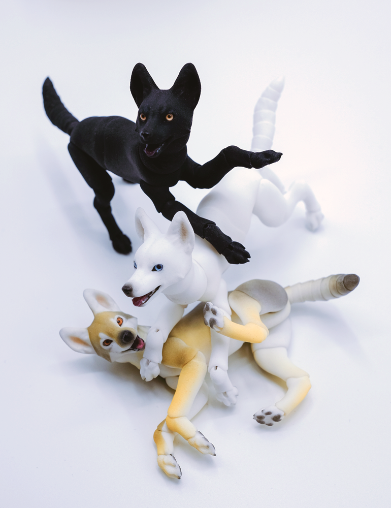 bjd wolf
