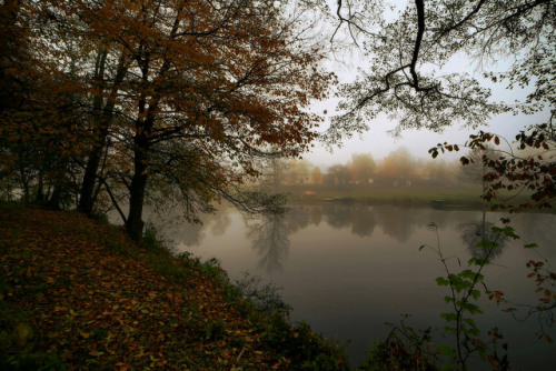 foggy morning.. by MarcelXYZ on Flickr.