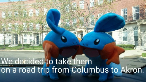 acerotiburon:  #NoMudkipLeftBehind  bought 2 Mudkip. Took them on a trip. 