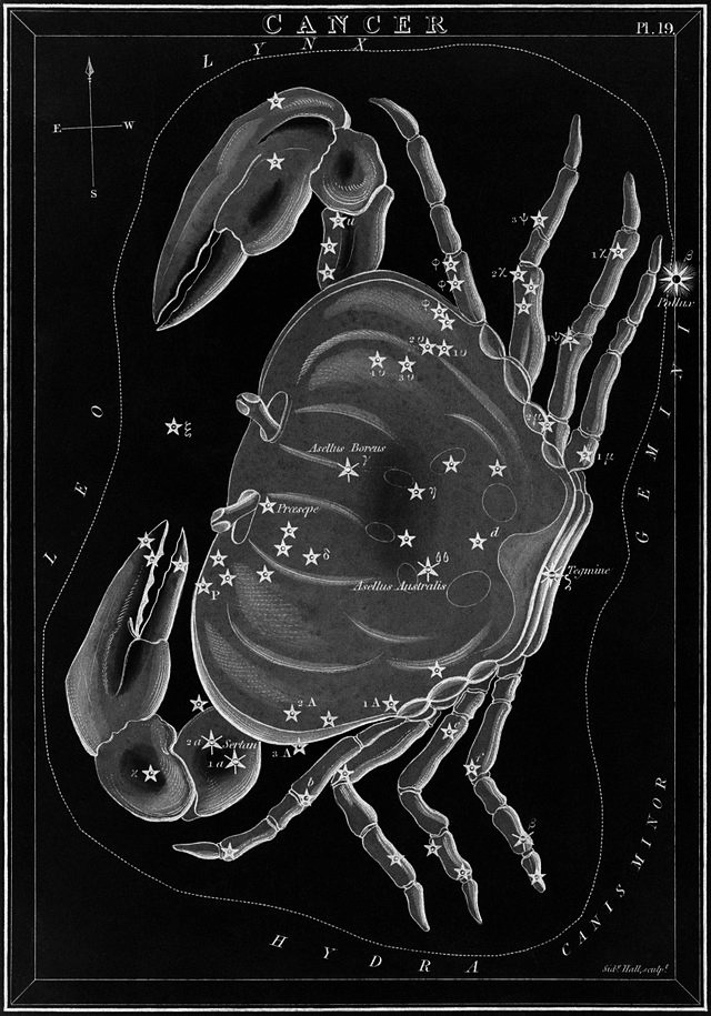 chaosophia218:   Sidney Hall - Signs of the Zodiac, “Urania’s Mirror”, 1824.