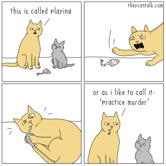 theycantalk:  big cat / little cat #1 - playing